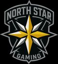 Team Northstar Gaming logo