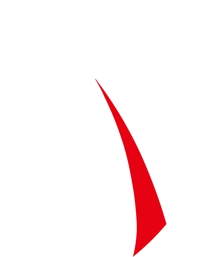 team Vainshoes logo