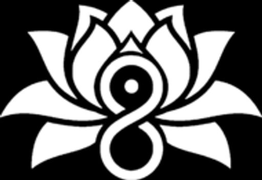Lotus 8 Esports