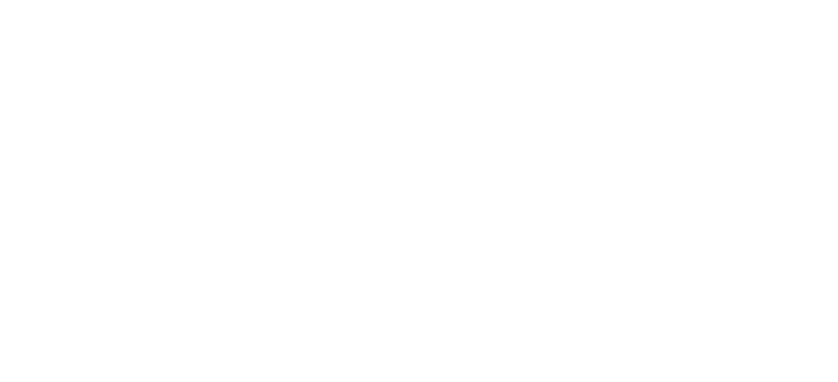 team Veloce logo