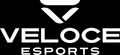 Team Veloce logo