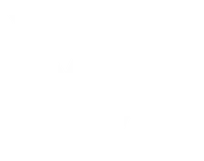 Pulse