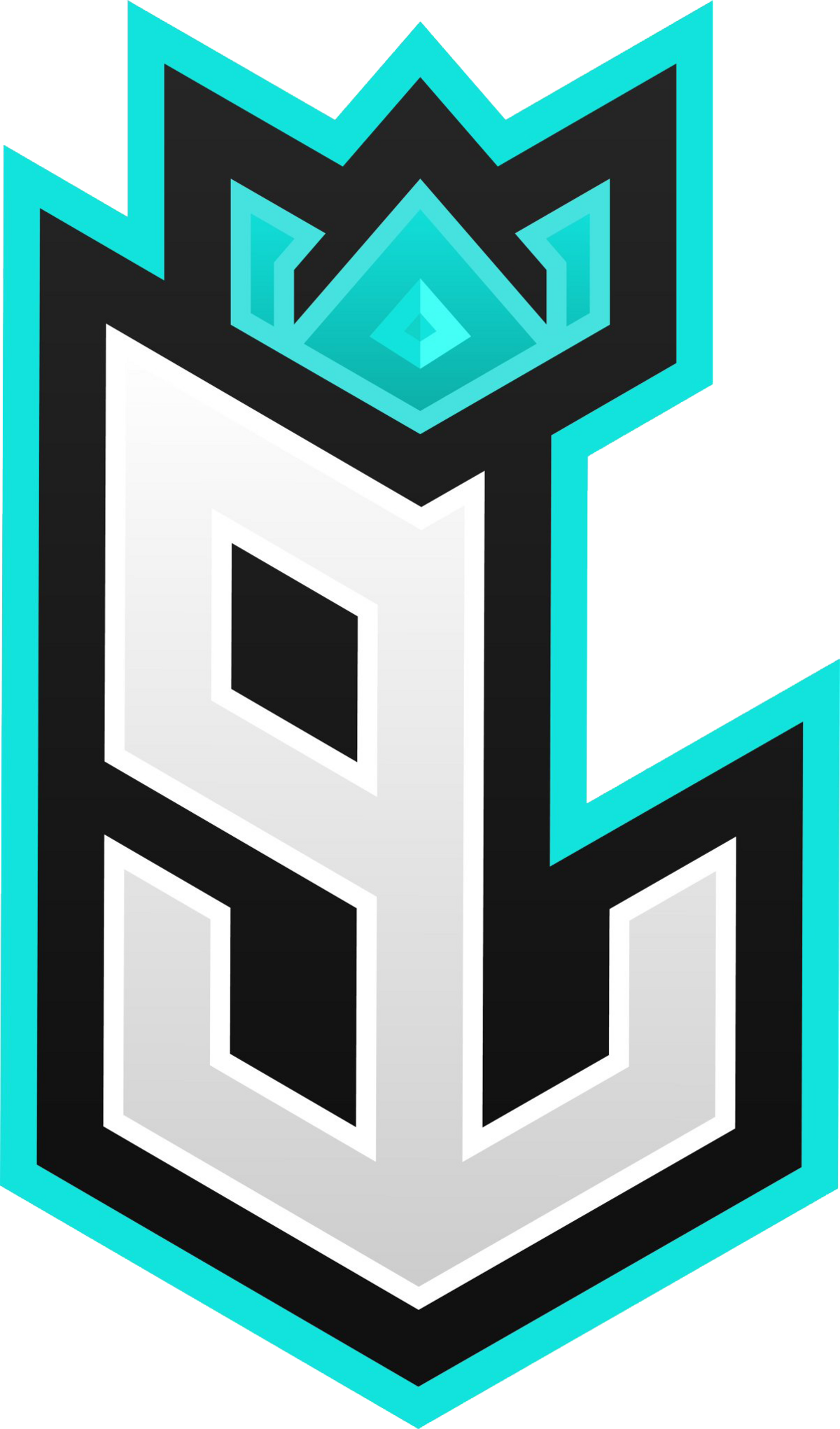 team 9Lies Esports logo