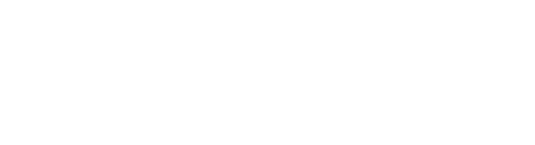 team Exeed logo