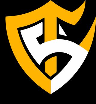 Team Solid