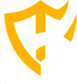 Team Solid