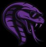 $15,000 team
