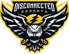 Disconnected Esports