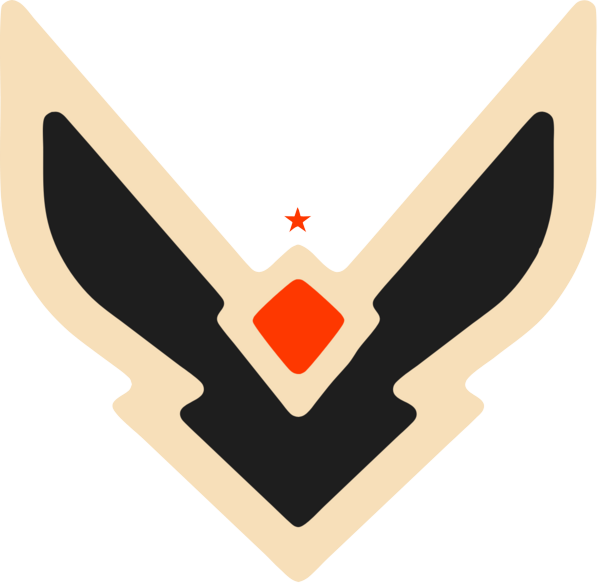 team Team Vision logo