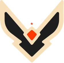 Team Vision