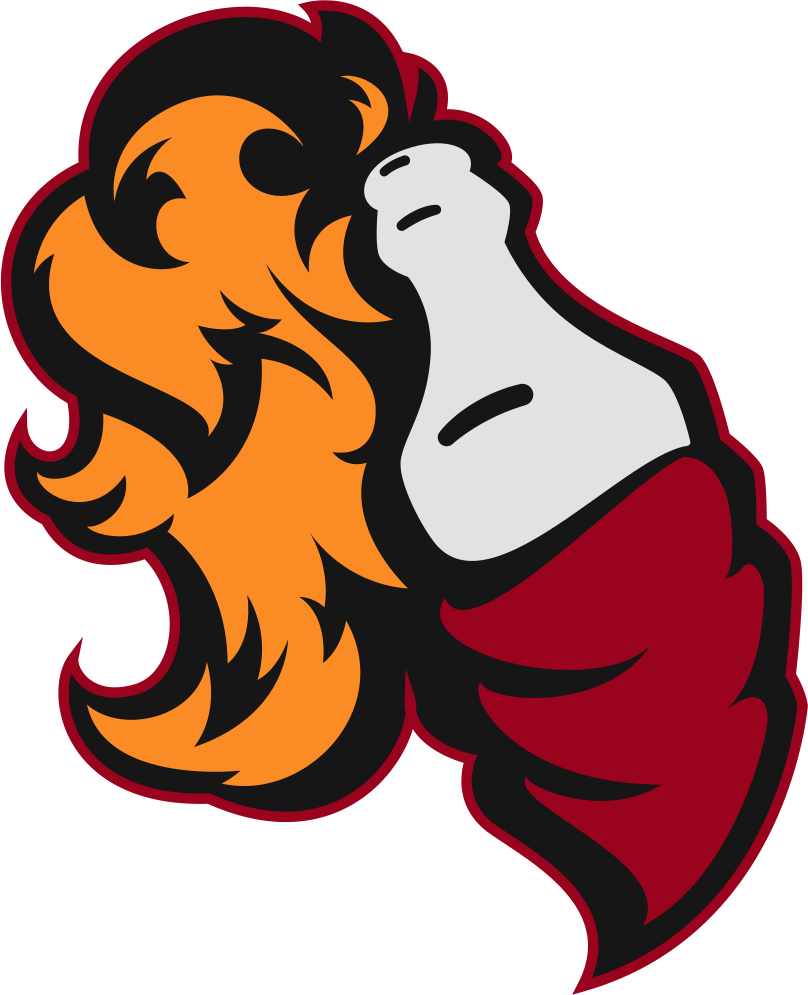 team R!OT Gaming logo