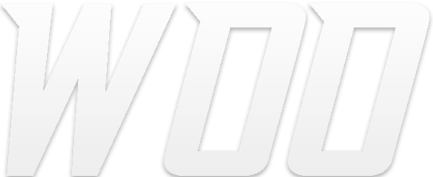 team WOO logo