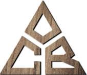 team Castle Black Esports logo