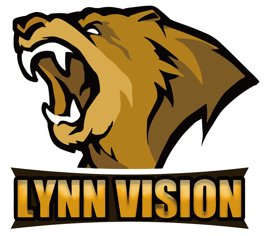 Lynn Vision