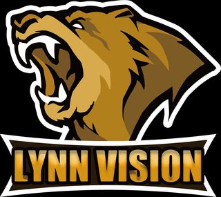 Lynn Vision