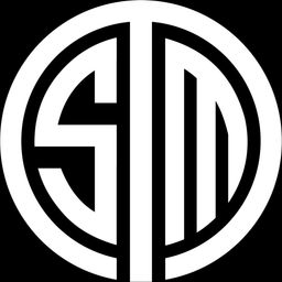 TSM team logo