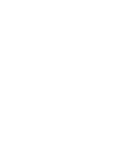 Onyx Ravens