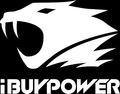 Team iBUYPOWER logo