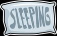 Sleeping team logo