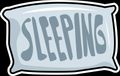 Team Sleeping logo
