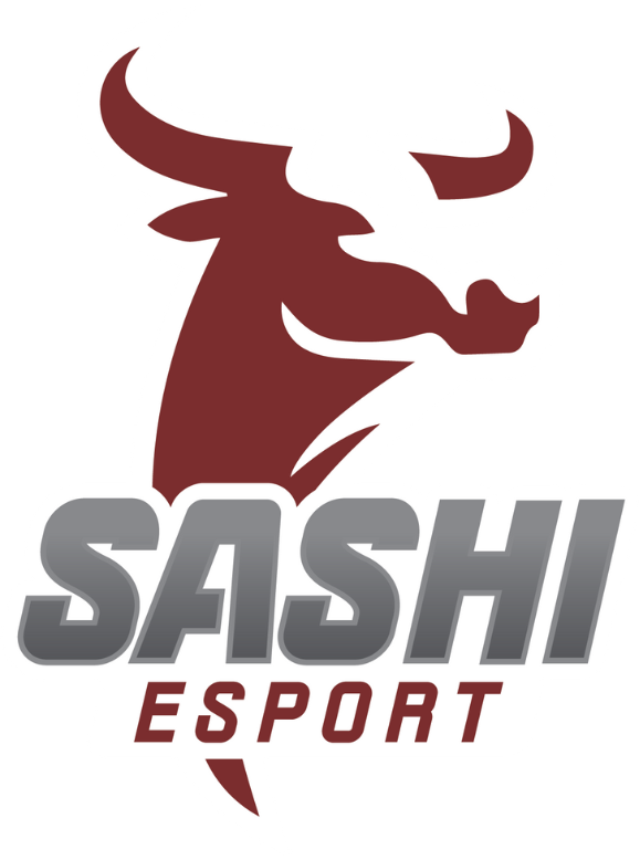 team Sashi Esport logo