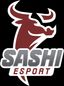 team Sashi Esport logo