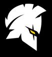 Team Brave Soldiers Esports