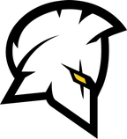 Team Brave Soldiers Esports
