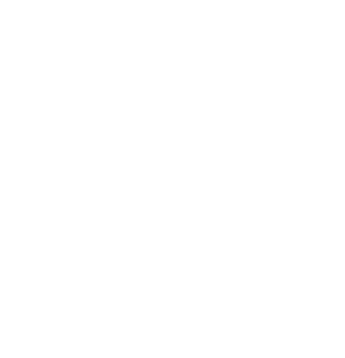 team Dunno Chief logo