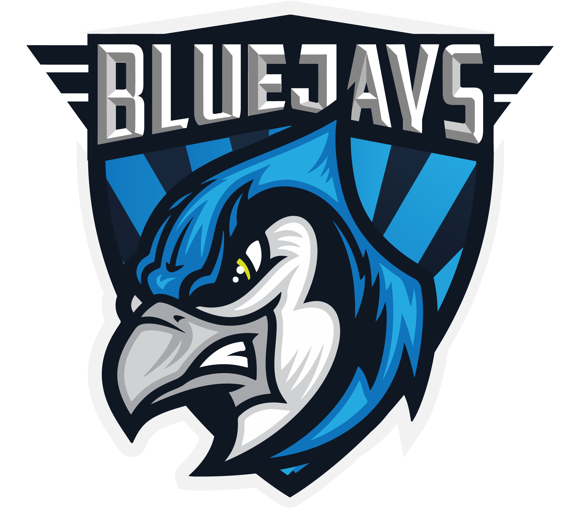 team BLUEJAYS logo