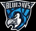 Team BLUEJAYS