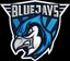 team BLUEJAYS logo
