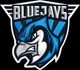 team BLUEJAYS logo