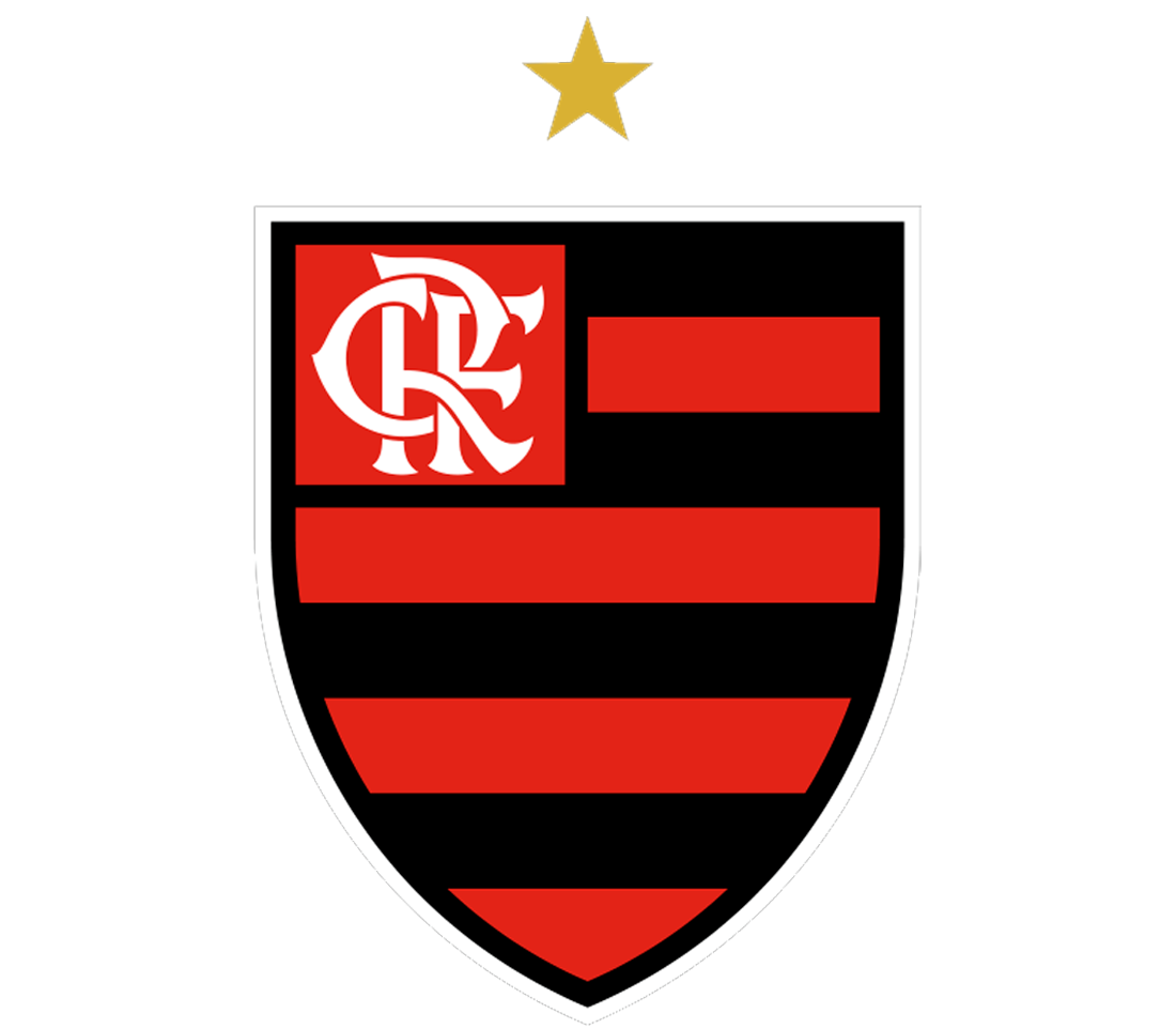team Flamengo logo
