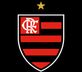 Flamengo team logo