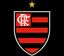 team Flamengo logo