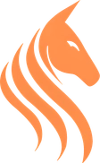 Team Stallions