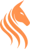 Team Stallions