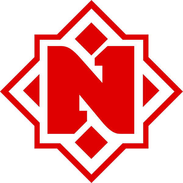 team Nemiga logo