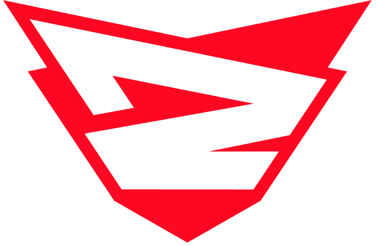 team Rebels Gaming logo