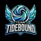 team Team Tidebound logo