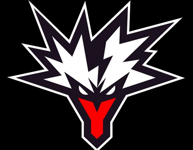 Team Logo