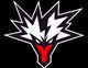 team Team Yandex logo