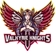 Valkyrie Knights