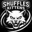 SHUFFLE'S KITTENS