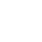 SHUFFLE'S KITTENS
