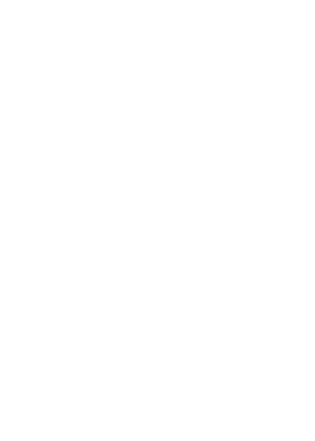 team Nordschleife logo
