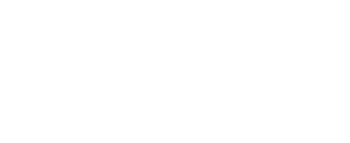 team Nameless logo