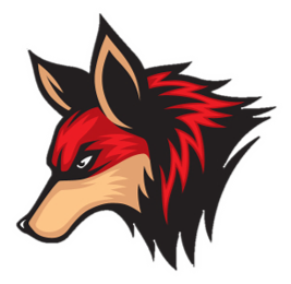 team Millennial Times Gaming logo