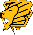 team Knights logo